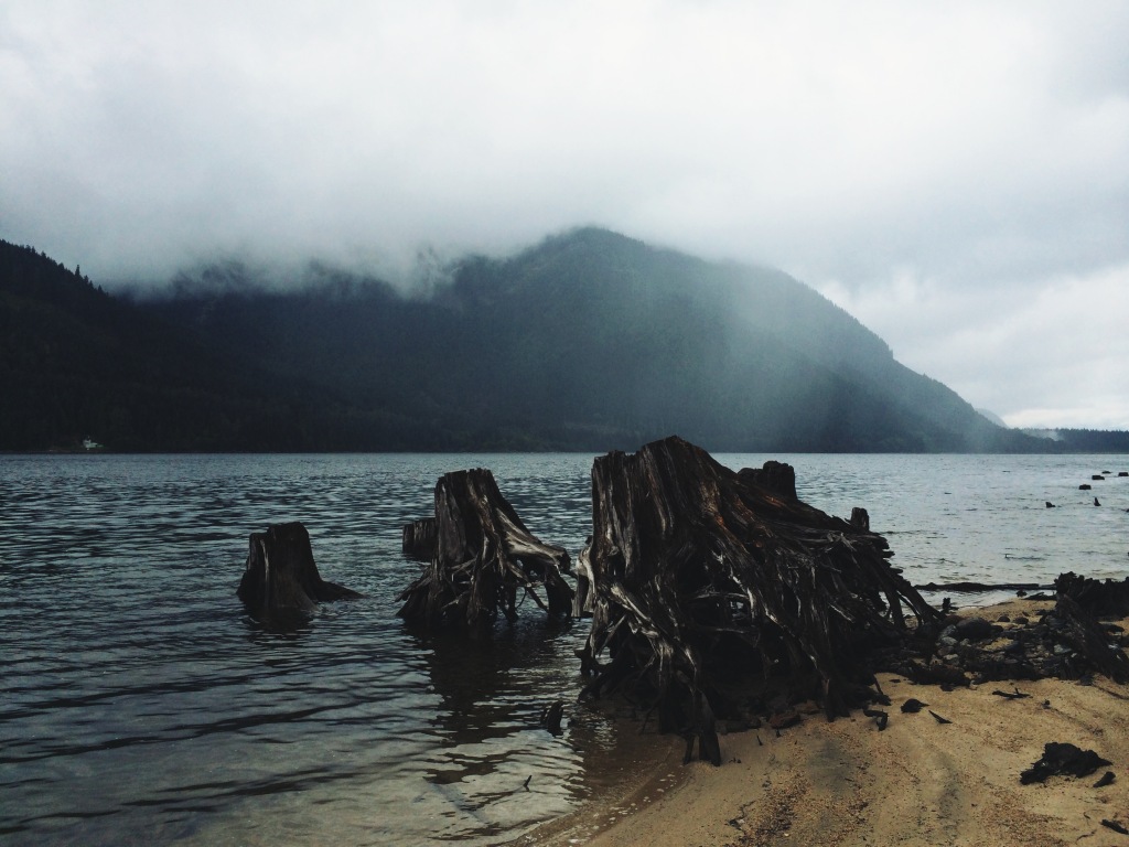 Processed with VSCOcam with lv01 preset